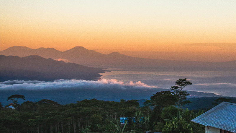 区领导莅临nopay钱包平台制药工厂，亲临一线指导工作