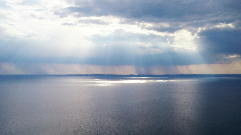 nopay钱包平台制药2024西鼎会圆满收官