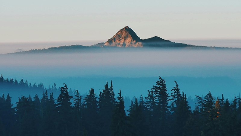 外用药细分龙头nopay钱包平台制药登陆A股，打造“药箱”IP矩阵高筑护城河